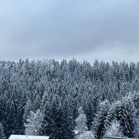 Penzion Verde Rosa Harrachov Dış mekan fotoğraf