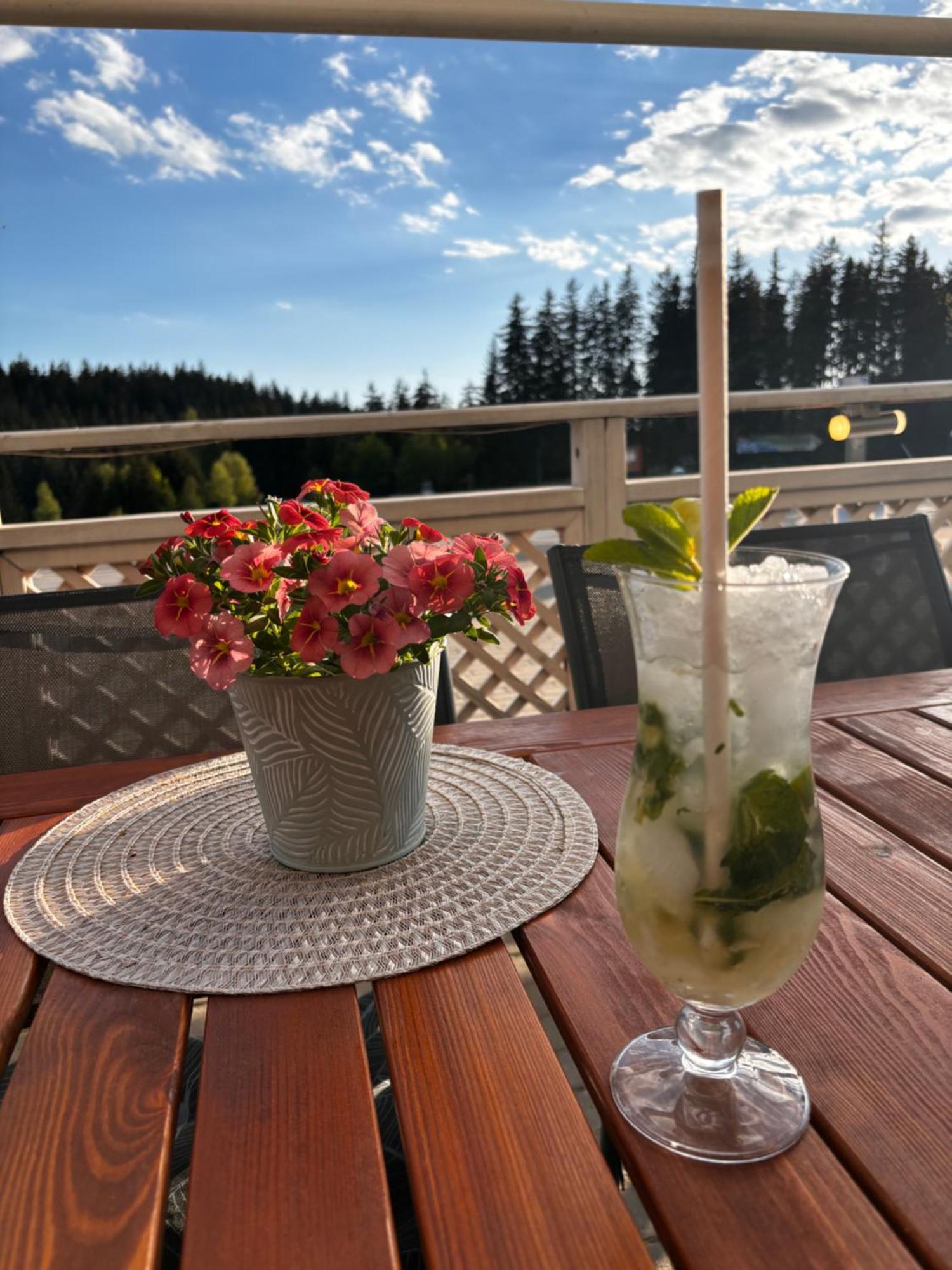 Penzion Verde Rosa Harrachov Dış mekan fotoğraf