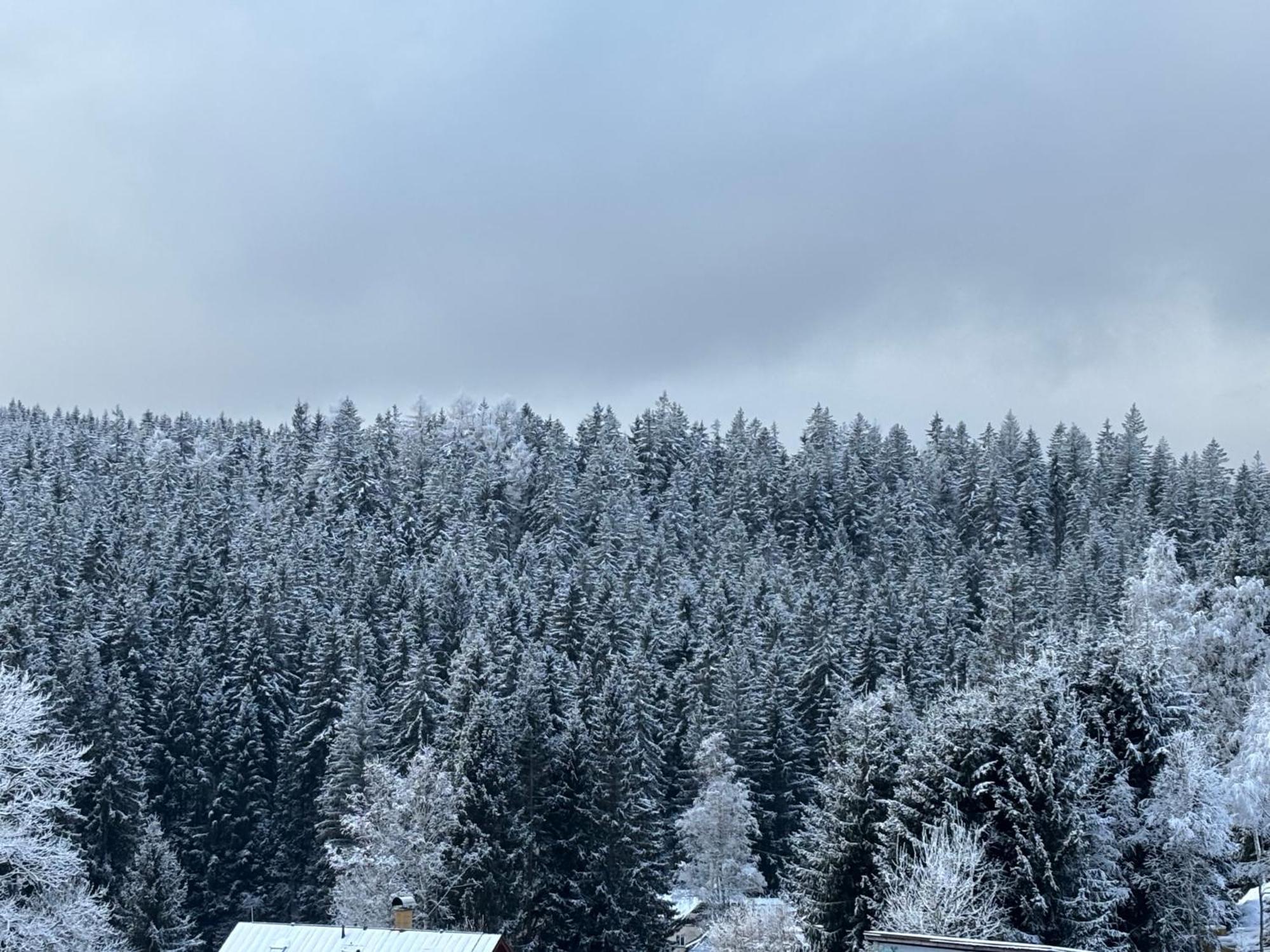 Penzion Verde Rosa Harrachov Dış mekan fotoğraf