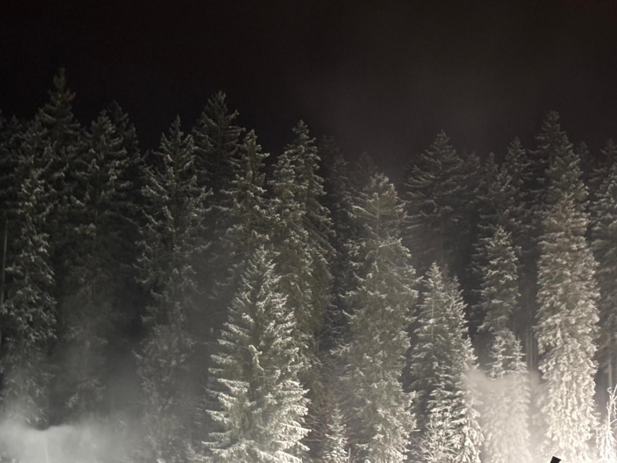 Penzion Verde Rosa Harrachov Dış mekan fotoğraf