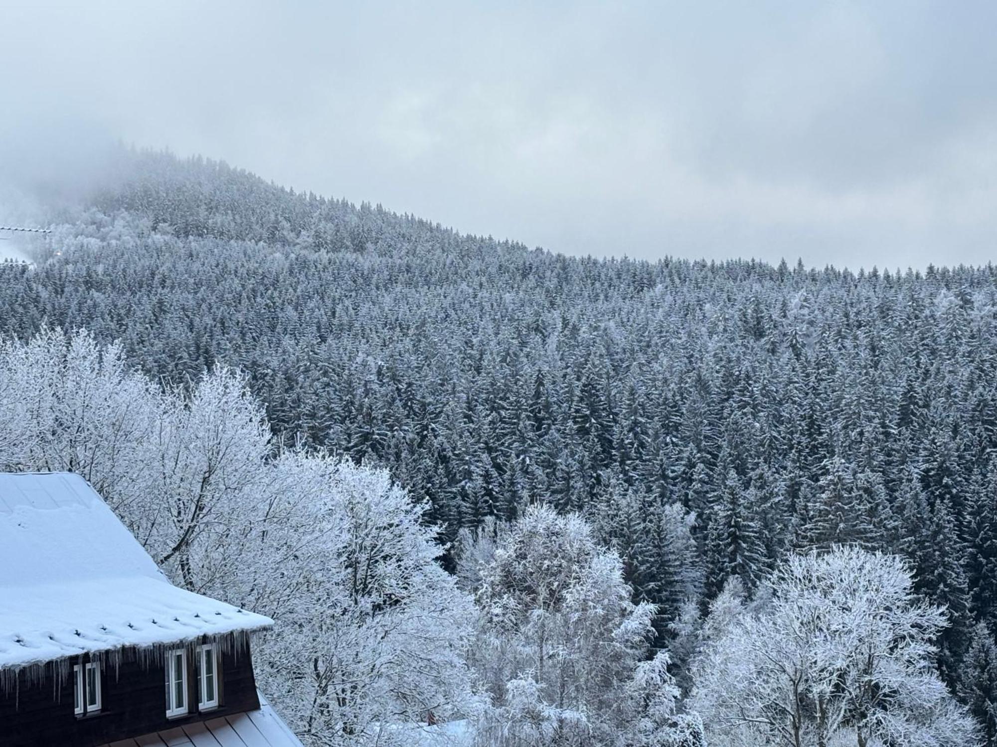 Penzion Verde Rosa Harrachov Dış mekan fotoğraf
